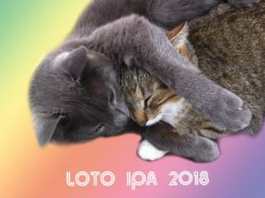loto IPA 2018