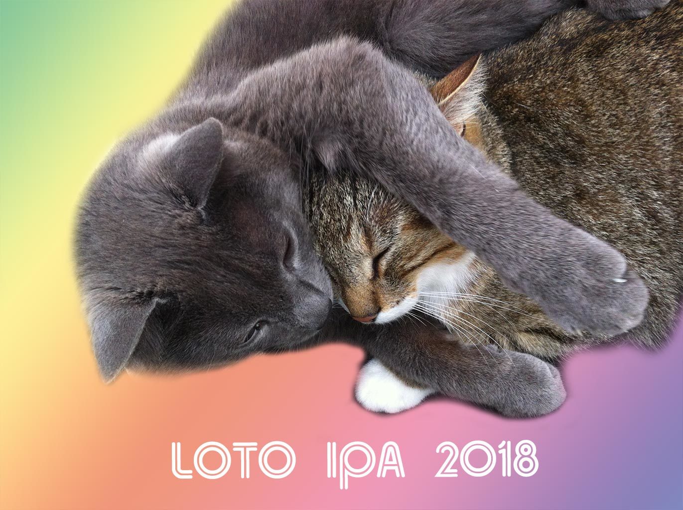 Loto 2018 rendez vous le 25 Novembre à Draveil