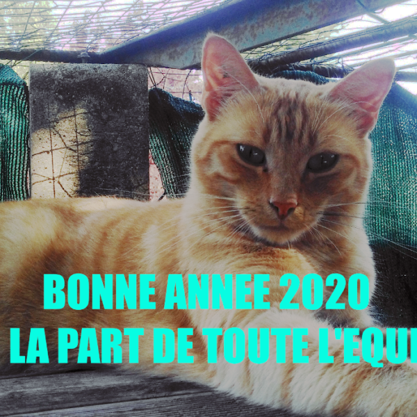 L'association IPA vous présente tous ses vœux pour 2020