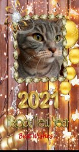 bonne année 2021