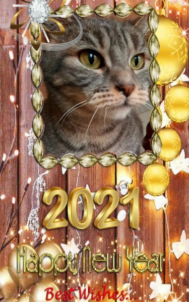 Bonne année 2021 avec IPA