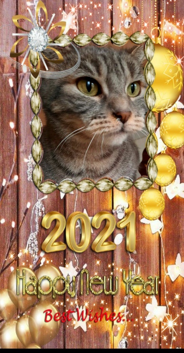 bonne année 2021